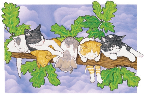 Cats Out on a Limb Blank Note Card - Pipsqueakproductions