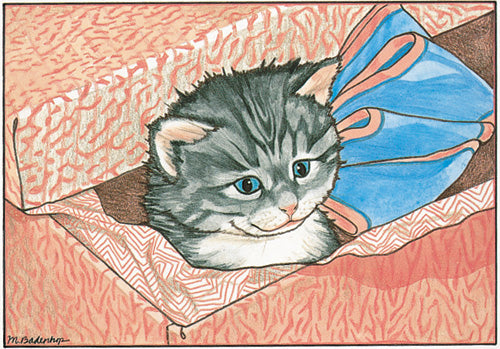 Cat Surprise Birthday Card 5 x 7 with Envelope - Pipsqueakproductions