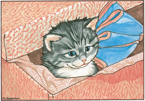 Cat Tabby Blank Note Card - Pipsqueakproductions
