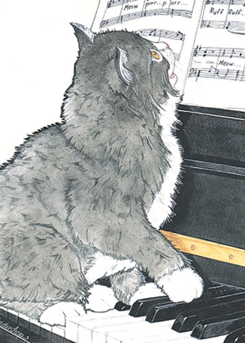 Cat Black and White Blank Note Cards Boxed - Pipsqueakproductions