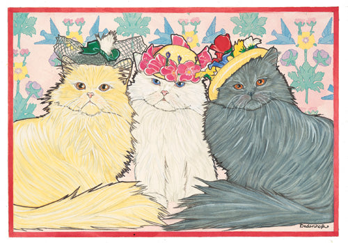 Persian Cat Blank Note Cards Boxed - Pipsqueakproductions