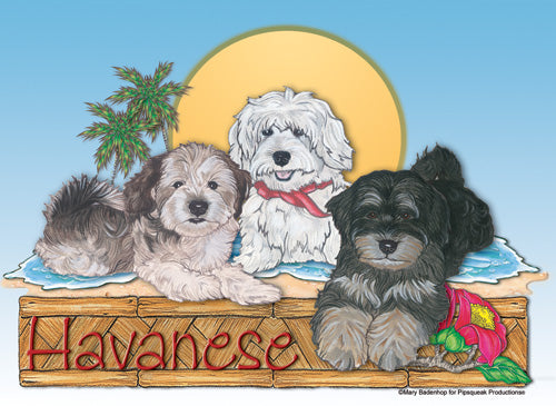 Havanese Birthday Card 5 x 7 with Envelope - Pipsqueakproductions