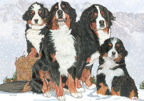 Bernese Mountain Dog Blank Note Card - Pipsqueakproductions