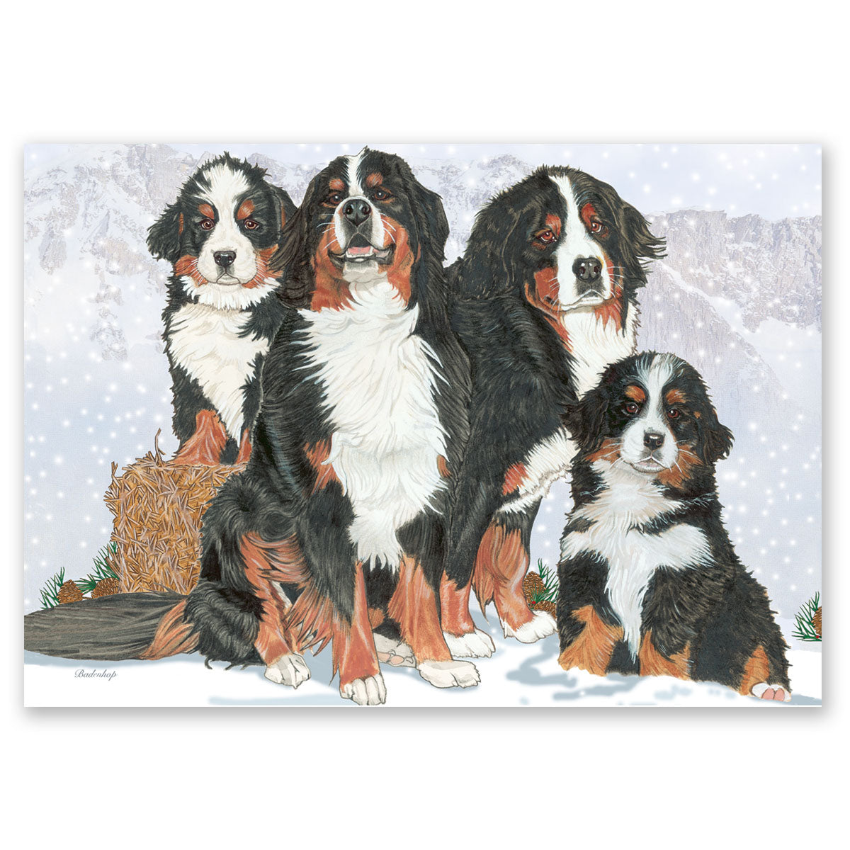 Bernese Mountain Dog Art Blank Note Cards Set of 10 cards with Envelopes