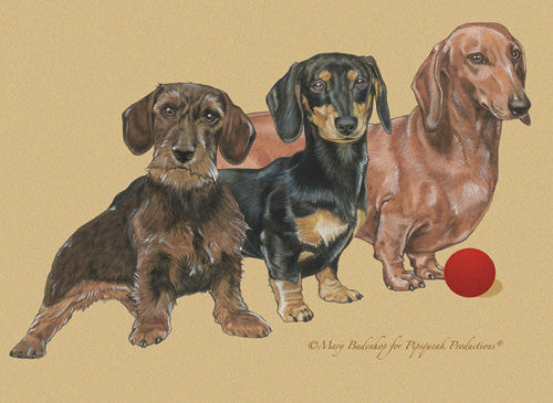 Dachshund Birthday Card 5 x 7 with Envelope - Pipsqueakproductions
