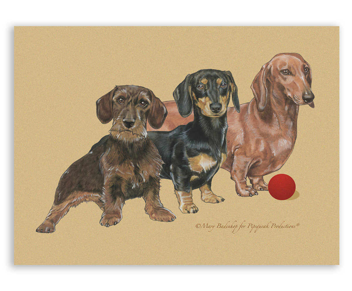 Dachshund Art Blank Note Cards Set of 10 Cards with Envelopes - Pipsqueakproductions
