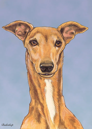 Greyhound Birthday Card 5 x 7 with Envelope - Pipsqueakproductions