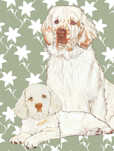 Clumber Spaniel Birthday Card 5 x 7 with Envelope - Pipsqueakproductions