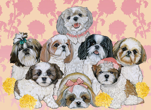 Shih Tzu Birthday Card 5 x 7 with Envelope - Pipsqueakproductions