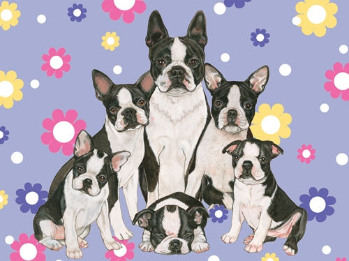 Boston Terrier Blank Note Card - Pipsqueakproductions