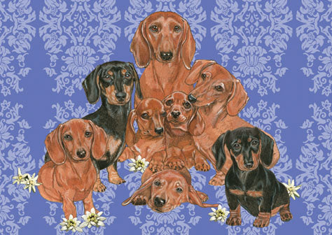 Dachshund Birthday Card 5 x 7 with Envelope - Pipsqueakproductions