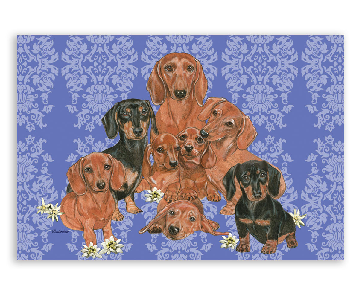 Dachshund Art Blank Note Cards Set of 10 Cards with Envelopes - Pipsqueakproductions