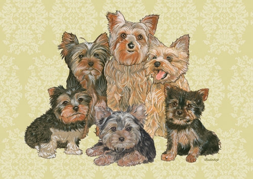 Yorkshire Terrier Blank Note Card - Pipsqueakproductions
