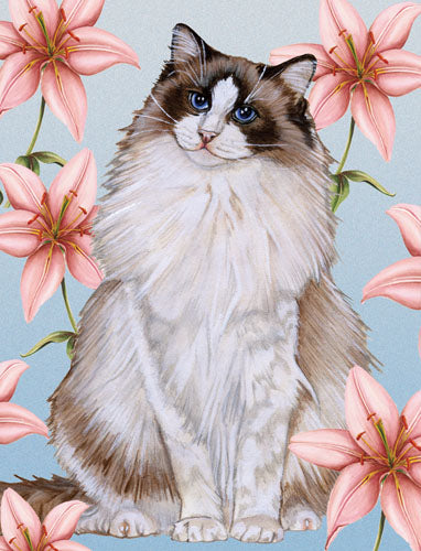 Ragdoll Cat Birthday Card 5 x 7 with Envelope - Pipsqueakproductions