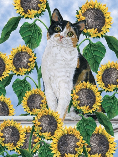 Calico Cat Blank Note Card - Pipsqueakproductions