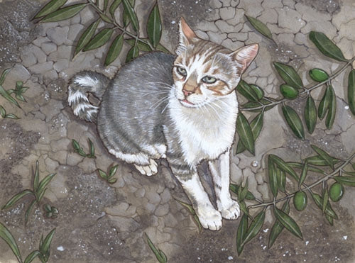 Cat Tabby Blank Note Card - Pipsqueakproductions