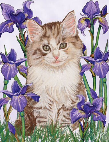 Cat Tabby Kitty Among Iris Flowers Birthday Card 5 x 7 with Envelope - Pipsqueakproductions