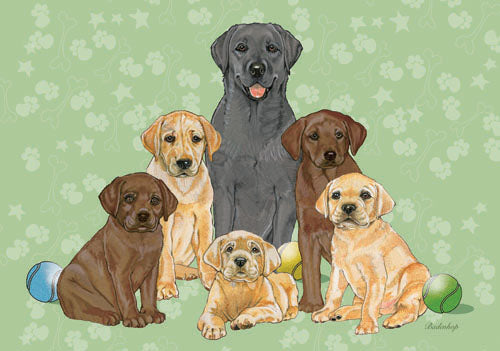 Labrador Retriever Birthday Card 5 x 7 with Envelope - Pipsqueakproductions