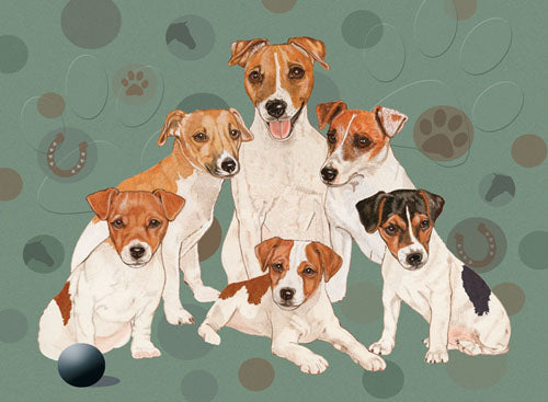 Jack Russell Birthday Card 5 x 7 with Envelope - Pipsqueakproductions