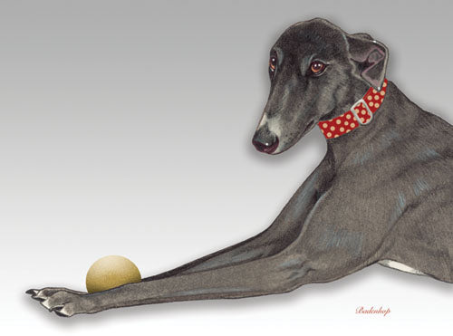 Greyhound Birthday Card 5 x 7 with Envelope - Pipsqueakproductions
