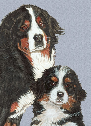 Bernese Mountain Dog Blank Note Card - Pipsqueakproductions