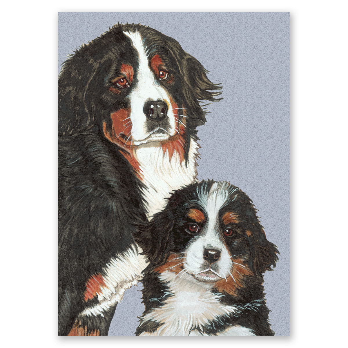Bernese Mountain Dog Art Blank Note Cards Set of 10 cards with Envelopes