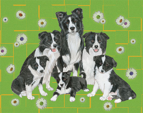 Border Collie Birthday Card 5 x 7 with Envelope - Pipsqueakproductions