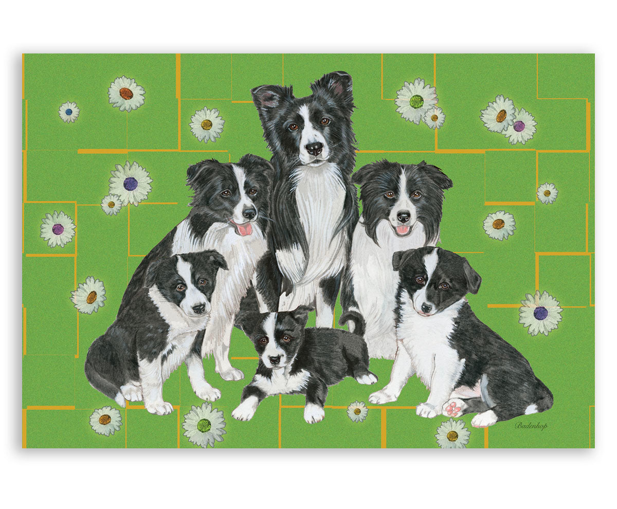 Border Collie Art Blank Note Cards Set of 10 Cards with Envelopes