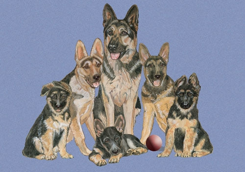 German Shepherd Blank Note Card - Pipsqueakproductions