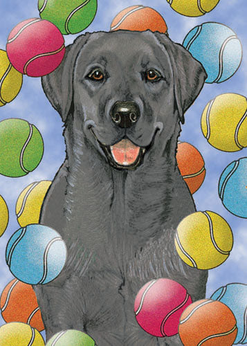 Labrador Retriever Black Lab Birthday Card 5 x 7 with Envelope - Pipsqueakproductions