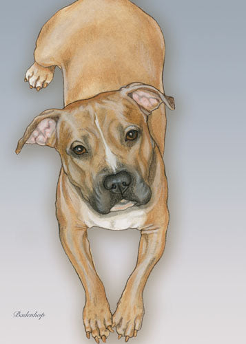 Pit Bull Birthday Card 5 x 7 with Envelope - Pipsqueakproductions