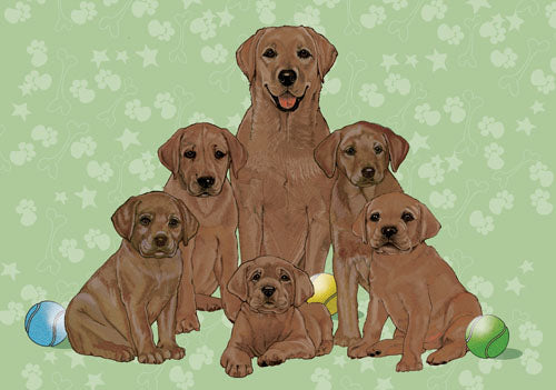Labrador Retriever Chocolate Lab Birthday Card 5 x 7 with Envelope - Pipsqueakproductions