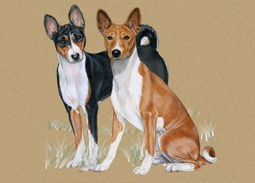 Basenji Birthday Card 5 x 7 with Envelope - Pipsqueakproductions