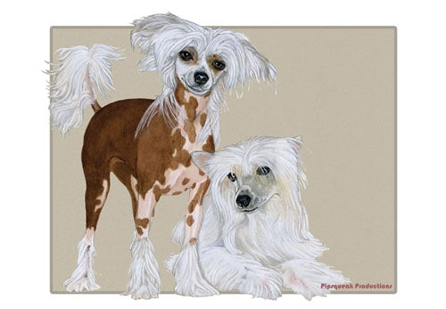 Chinese Crested Birthday Card 5 x 7 with Envelope - Pipsqueakproductions