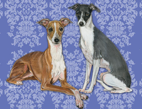 Italian Greyhound Birthday Card 5 x 7 with Envelope - Pipsqueakproductions