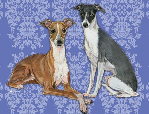 Italian Greyhound Blank Note Card - Pipsqueakproductions