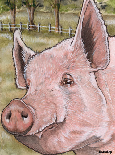 Pig Lover Birthday Card 5 x 7 with Envelope - Pipsqueakproductions