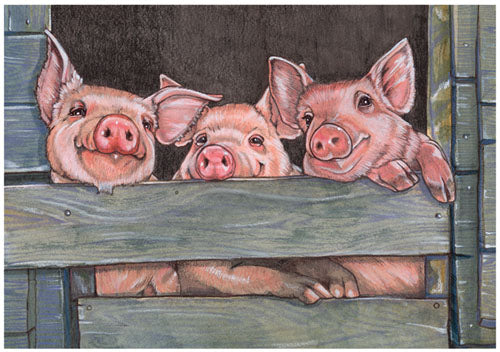 Pig Note Cards Set of 10 cards & 10 envelopes - Pipsqueakproductions