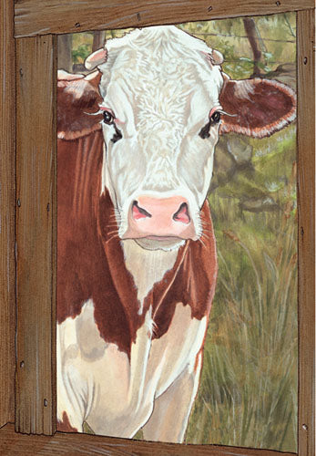 Cow Brown and White Hereford Cow Birthday Card 5 x 7 with Envelope - Pipsqueakproductions