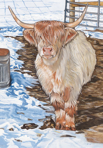 Cow Scottish Highland Cow Birthday Card 5 x 7 with Envelope - Pipsqueakproductions