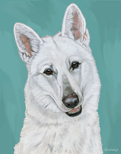 White Shepherd Birthday Card 5 x 7 with Envelope - Pipsqueakproductions