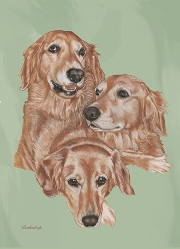 Golden Retriever Blank Note Card - Pipsqueakproductions