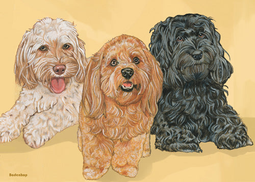 Cockapoo Birthday Card 5 x 7 with Envelope - Pipsqueakproductions