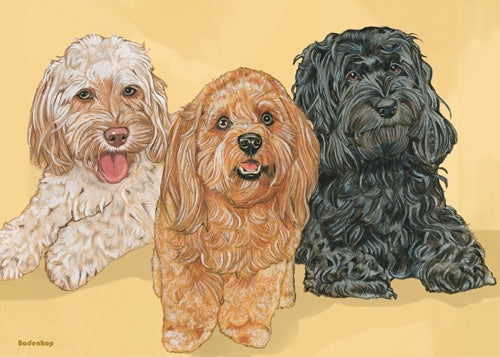 Cockapoo Blank Note Card - Pipsqueakproductions