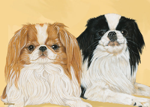 Japanese Chin Blank Note Cards Boxed - Pipsqueakproductions