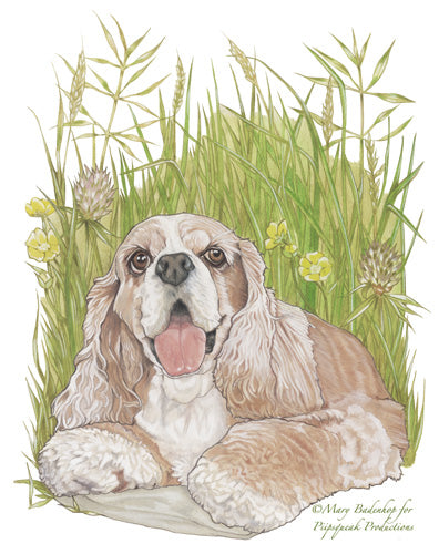 Cocker Spaniel Birthday Card 5 x 7 with Envelope - Pipsqueakproductions