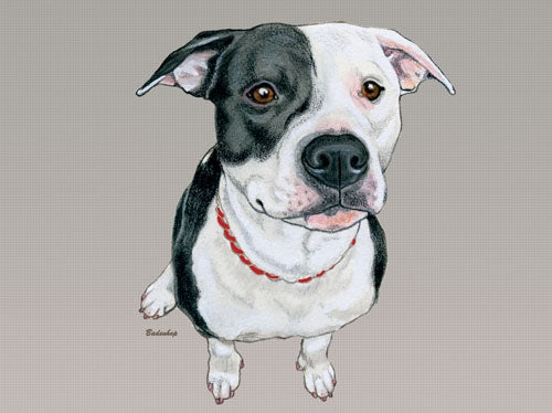Pit Bull  Blank Note Card - Pipsqueakproductions
