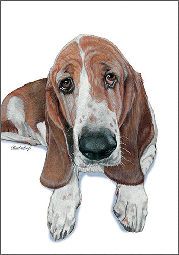 Basset Hound Blank Note Cards Boxed Set of 10 cards & 10 envelopes