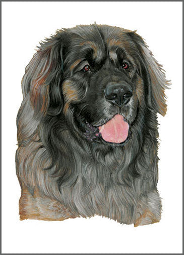 Leonberger Blank Note Cards Boxed Set of 10 cards & 10 envelopes - Pipsqueakproductions