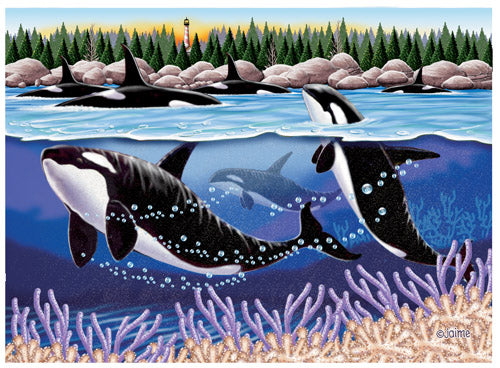 Orca Whale Note Cards Set of 10 cards & 10 envelopes - Pipsqueakproductions